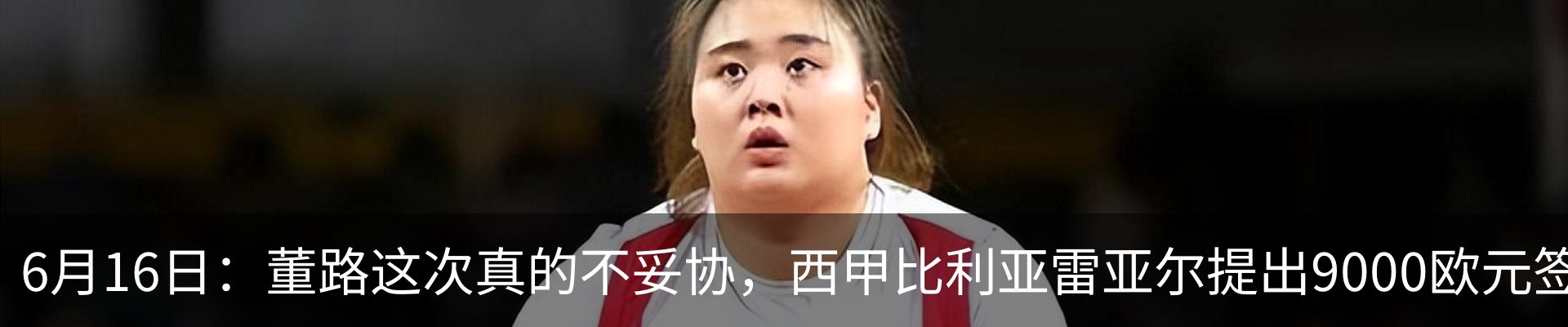新闻动态